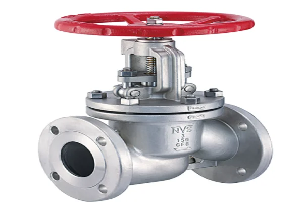 Stainless steel globe valve